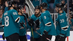 1SHARKS.jpg