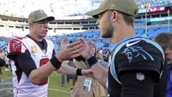 Falcons3.jpg