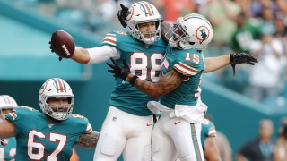 Dolphins7.jpg