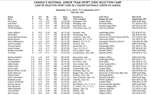 Liste des 31 joueurs invités par Équipe Canada junior.