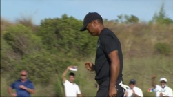 TIGER.jpg