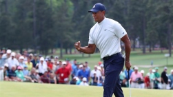 woods.jpg
