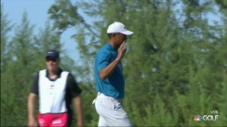 woods.jpg