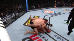 UFC.jpg