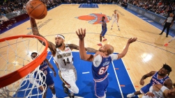 Pelicans6.jpg