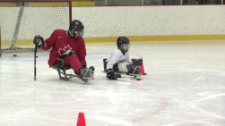 Parahockey.jpg