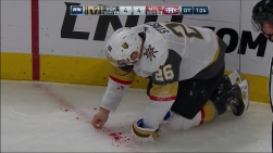 Stastny5.jpg