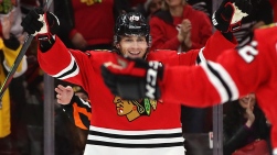 Hawks13.jpg