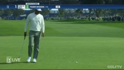 Woods.jpg