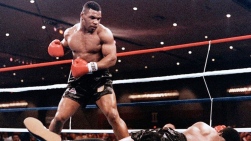 tyson - Copie.jpg