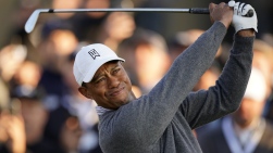Woods49.jpg