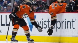 Ducks14.jpg