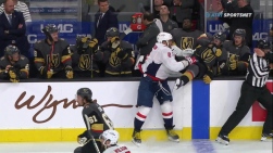 ovy.jpg