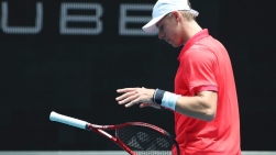 shapo.jpg