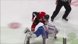 gally.jpg