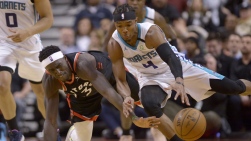 Hornets3.jpg
