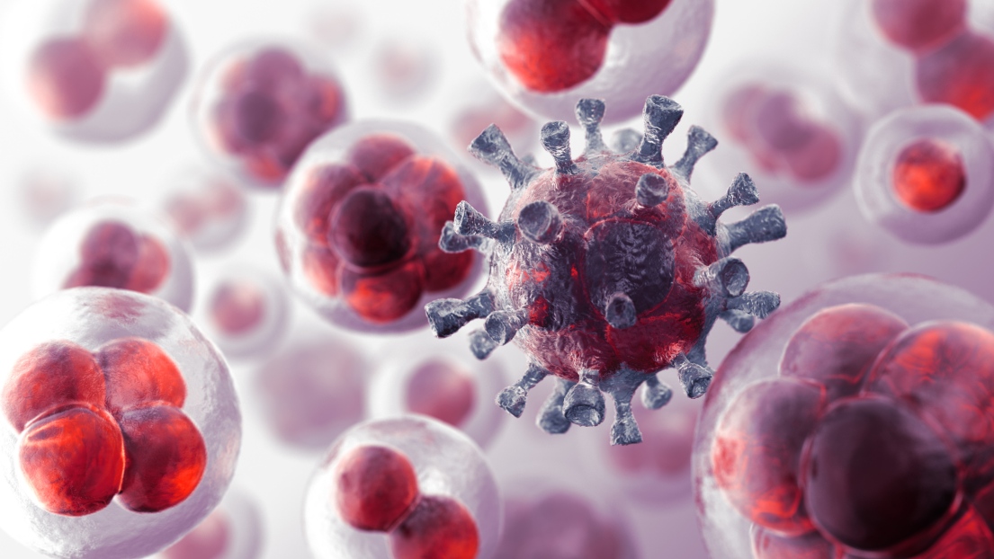 immunite