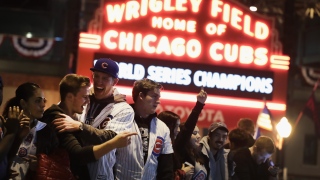 Fans des Cubs