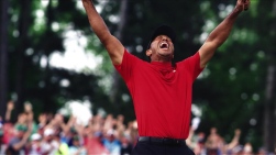 TIGER.jpg