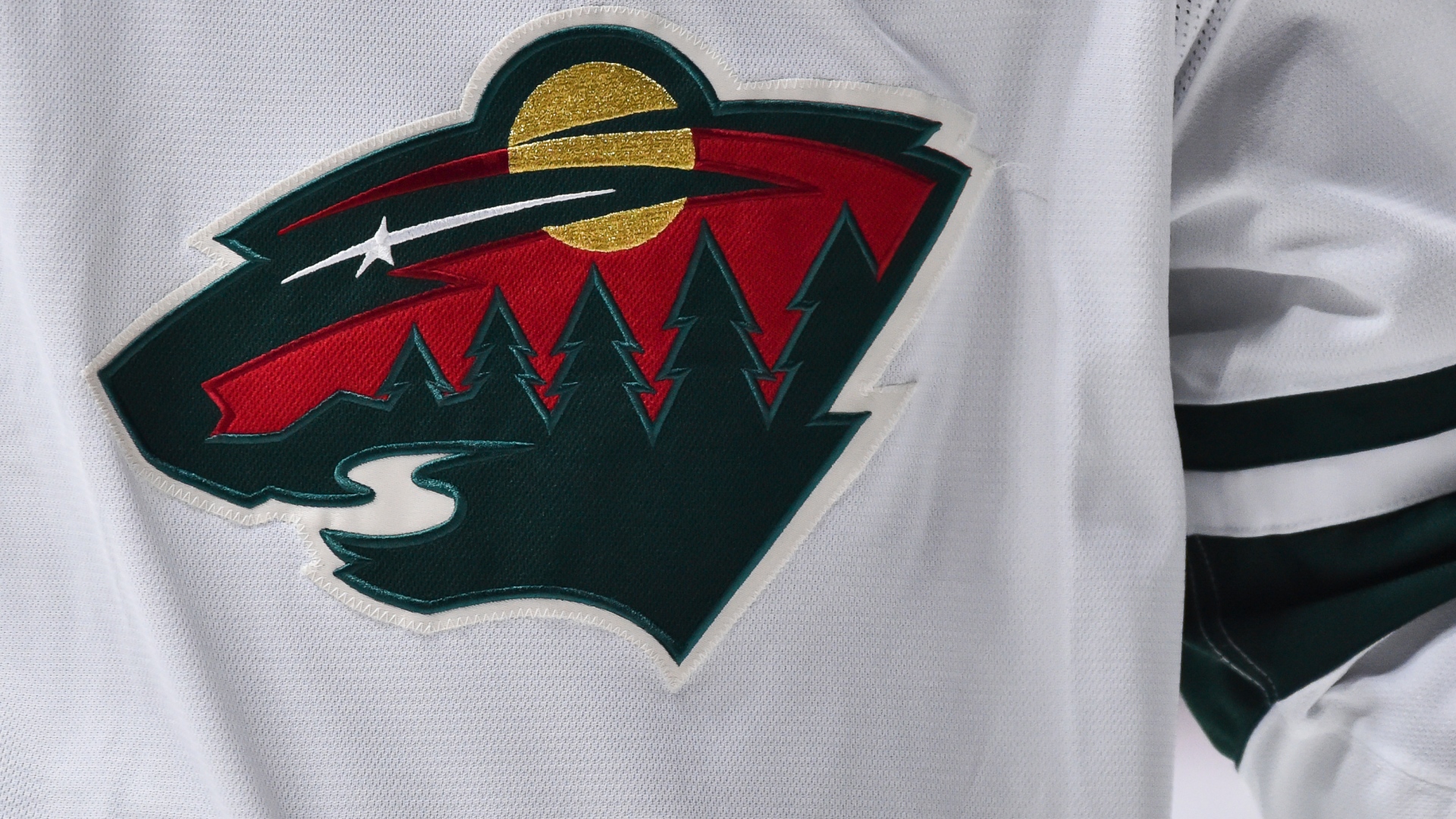 Logo Wild