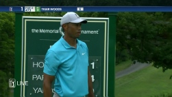 Tiger.jpg