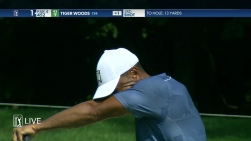 tiger.jpg