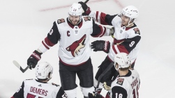 Coyotes.JPG