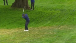 Woods2.jpg