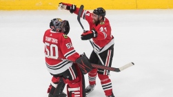 HAWKS.JPG