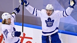 LEAFS.jpg