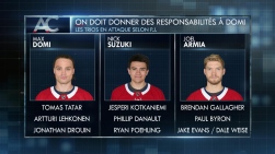 domi.jpg