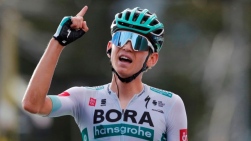 tdf.jpg