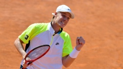 shapo.jpg