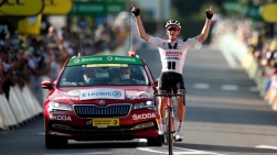 tdf.jpg
