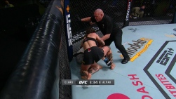 ufc4.jpg