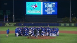 jays.jpg