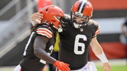 Browns2.jpg
