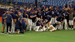 Rays9.jpg