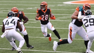 bengals.jpg