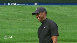 woods.jpg