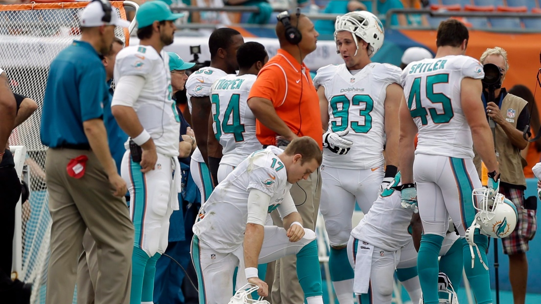 Les Dolphins de Miami