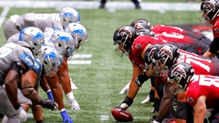 Lions et les Falcons Lions et les Falcons