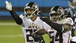 Falcons2.jpg