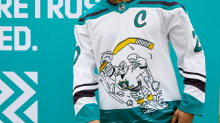 Ducks retro