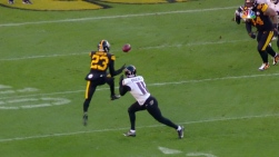 haden.jpg