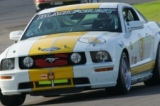 210265.jpg