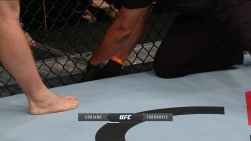 UFC.jpg